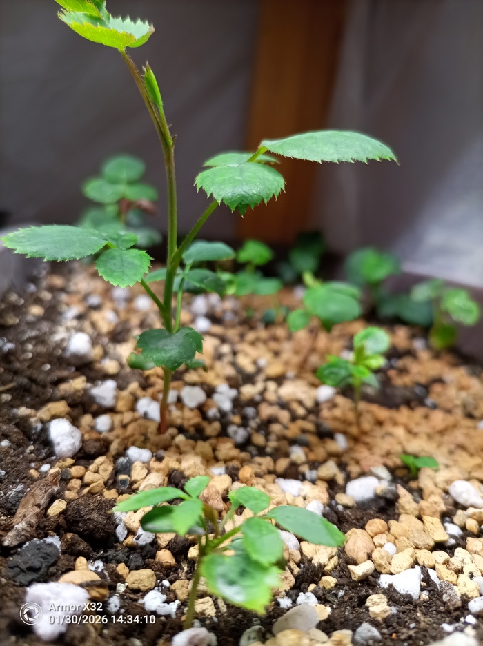 � ������� �� ����� ��������� ������ ���� 