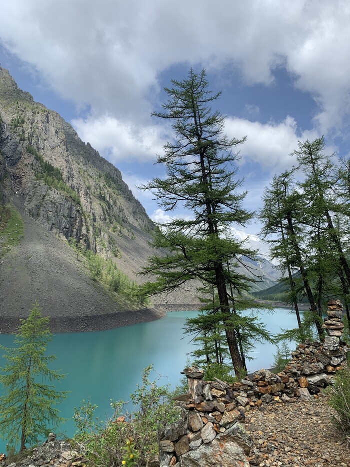 ���� �� ���� ����������� ���������