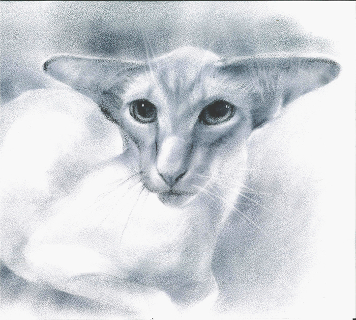 ������� ���������������