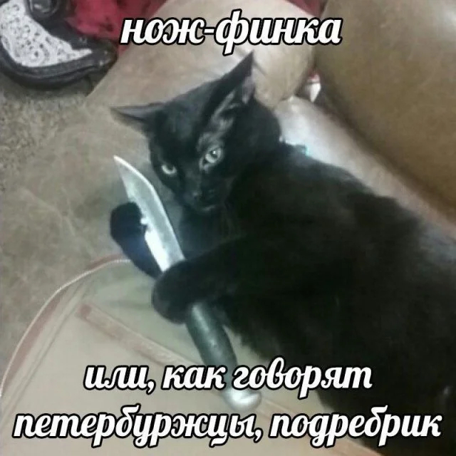 ���������� �������