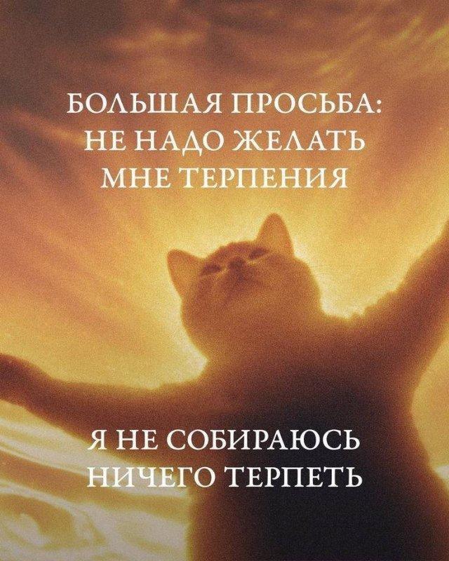 Просветление