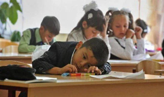About 9,000 Tajik schoolchildren have returned from Russia and will continue their education in Tajik schools. - Education, Tajiks, Russia, A wave of posts, Politics, news, Yandex Zen (link)