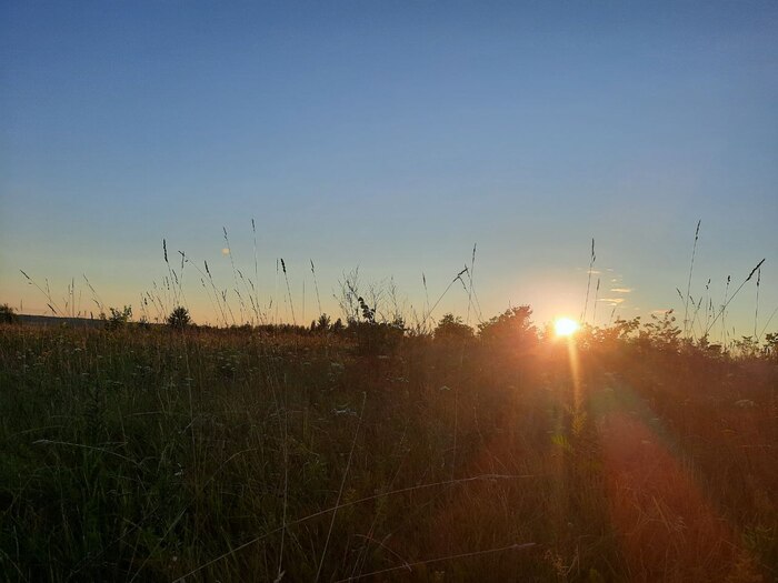 166 ���� ������� #131