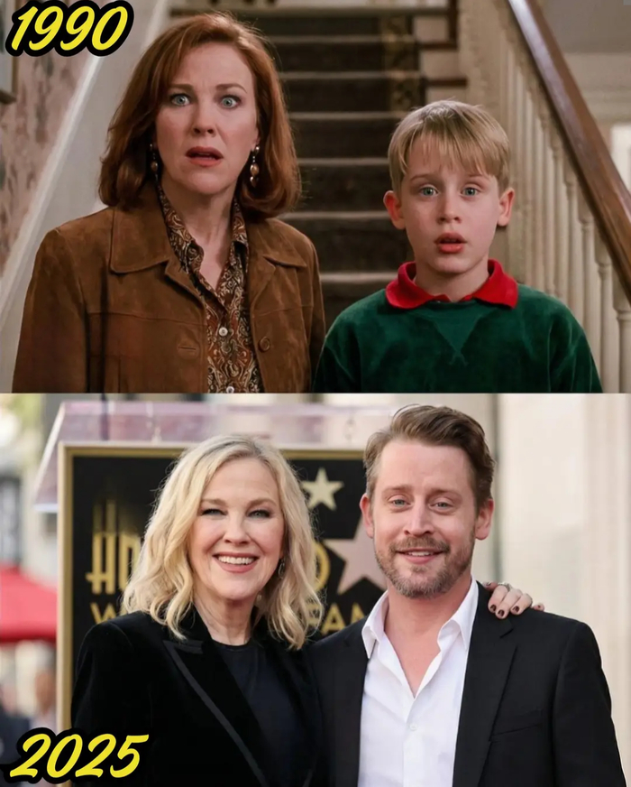 ���� ����. ��� ����