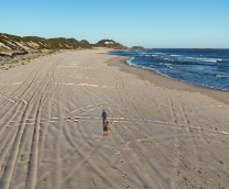 ������� ������������� �����������