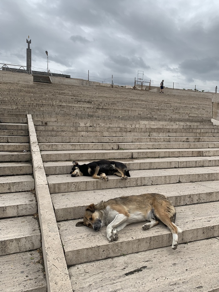 �� ���������.