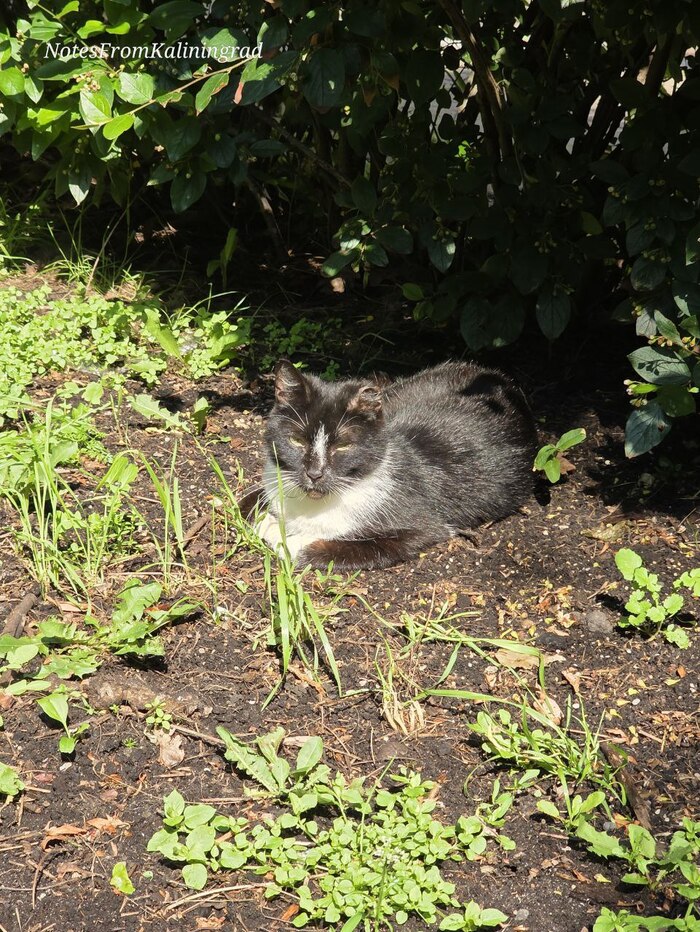 ������� - ����� � ����