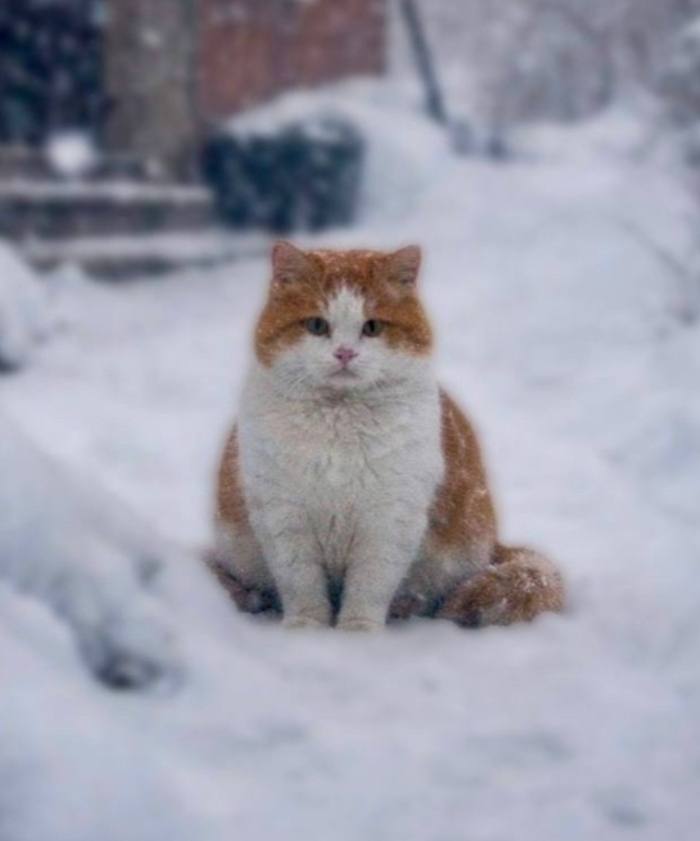 �� ���� ��������������� �� ���, ���� ���������. ��� ���?