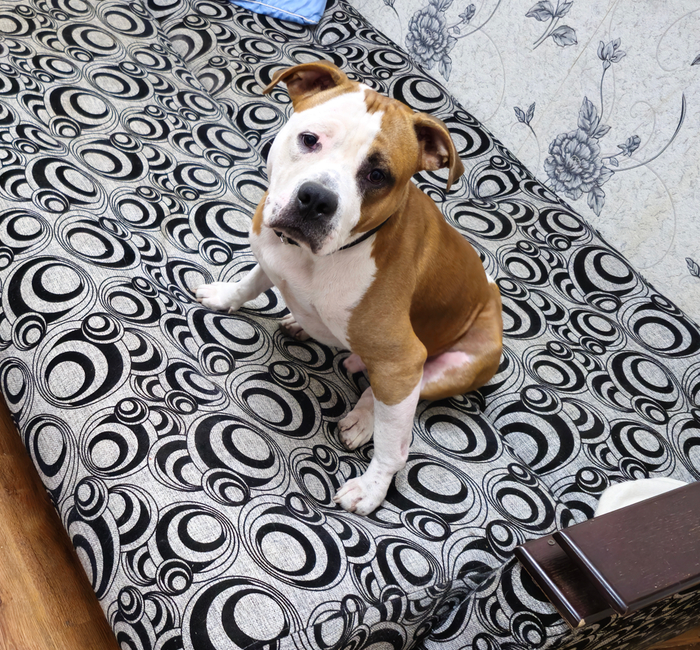 ������� ���������� � �������� �����, ���... ���������� �������, ��...