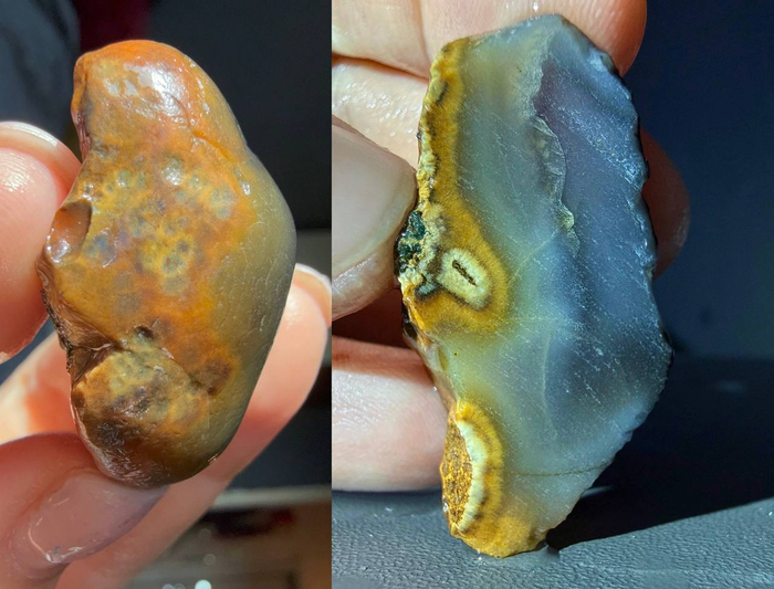 �������������� ����.