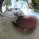 ����� ����� ������ ���� �����������