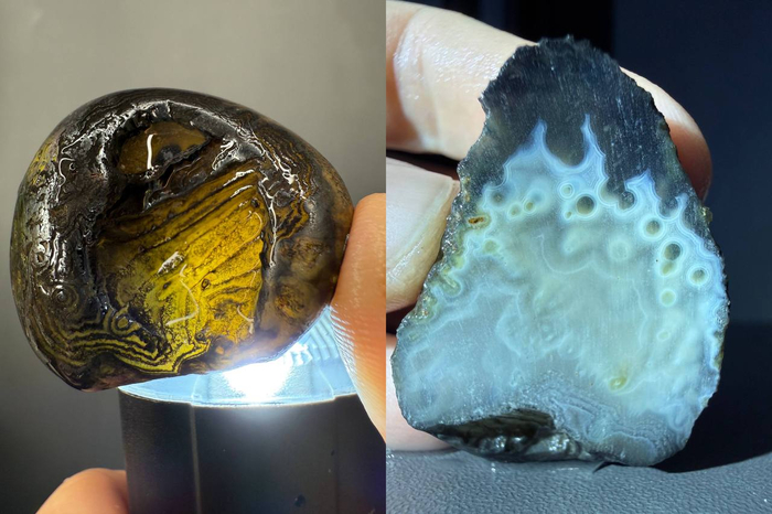 ׸���� ����.