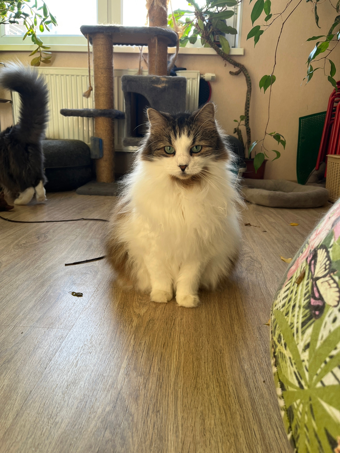 ����� � ����� ����