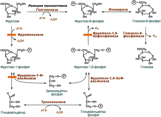 ���� �� ����� ����������� �������� � ������� (���������������)