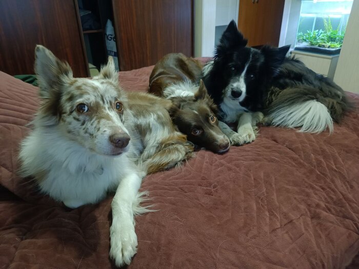 ����� �� ���� ������� ������ �� ����:�