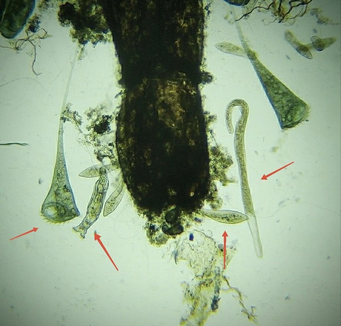 ����� ����!