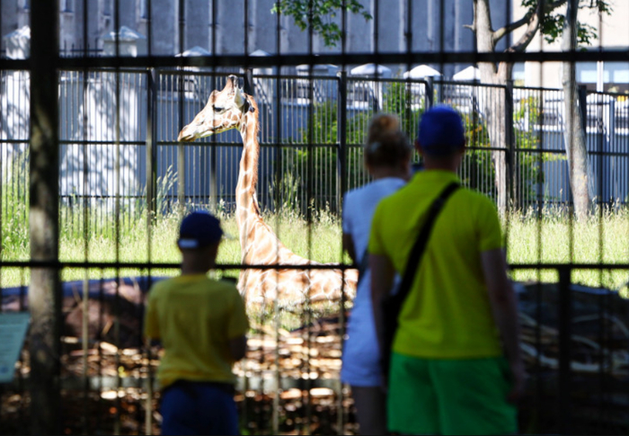 ��� ����������� ������� �� ���, ��� ����� ���� ������