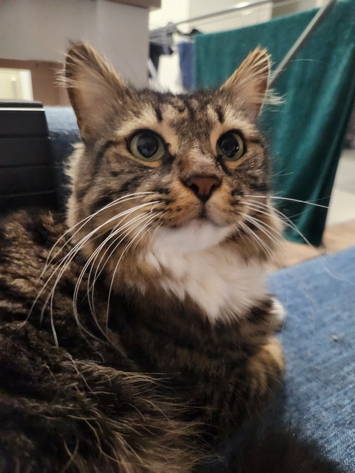 ���������� ������� #188