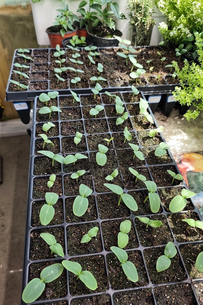 � �� ������ �������� ������� ����, ������� � �������� ����� ��������. �� � ������ ��� ����� ����������