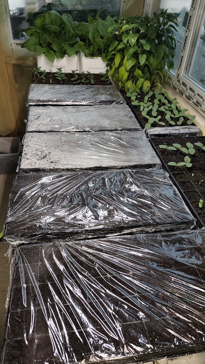 ������ ������� ���������� ������ ��� ������ ���������