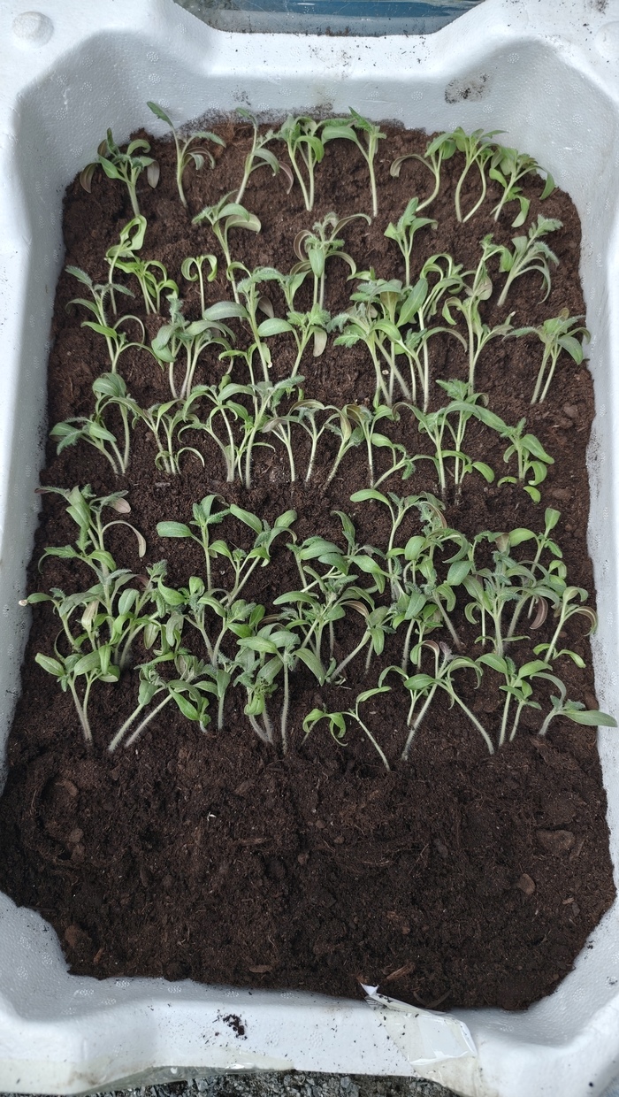 ������������� 100%