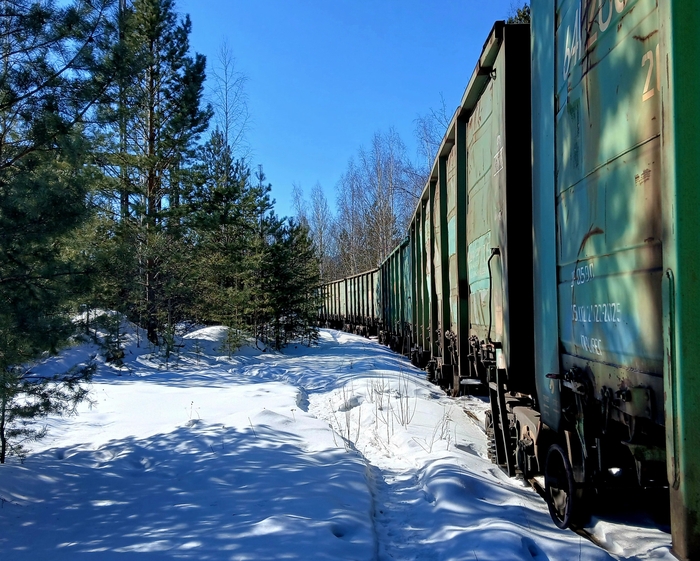 ����������� �������� ������������ ���