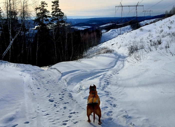 ��� �� ������������ ��� 