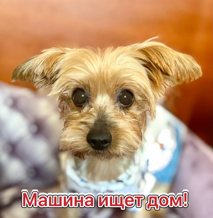 ������-������ ���� ���