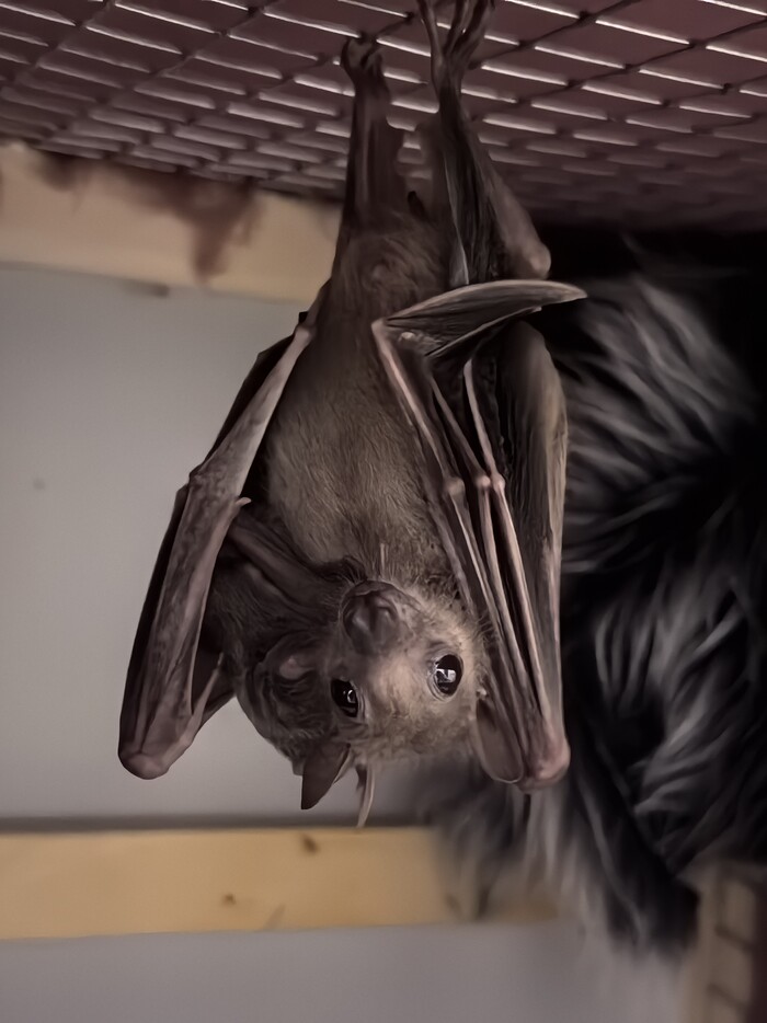 ��������� � ������ ������)