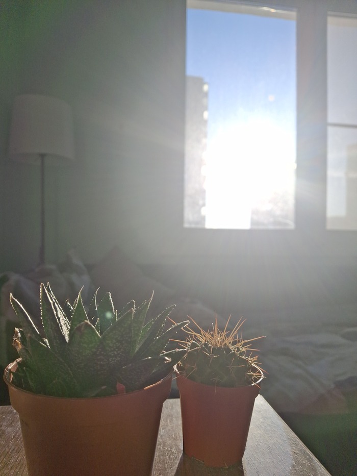 ��������� ��������