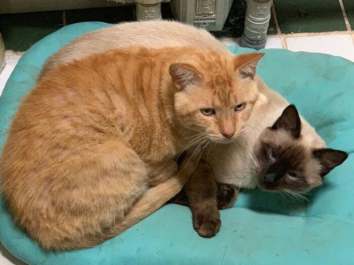 - ���� ���...