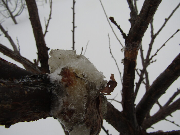 �������� �������: �������� ������ "������"