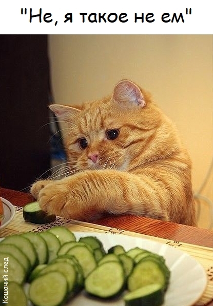 Но всё равно дай!