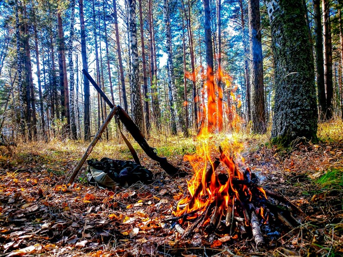 ������� ������