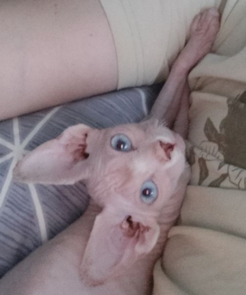 ���� ��������� �� �����, �� ���� ���� �����.