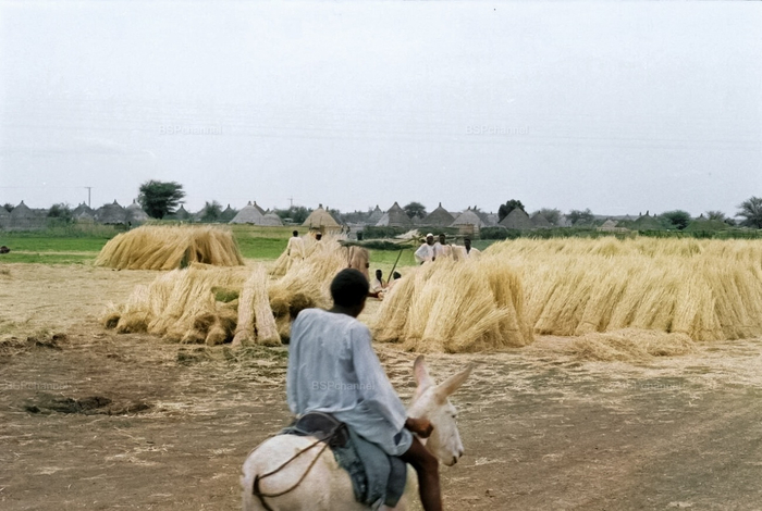 ��������: �� �������