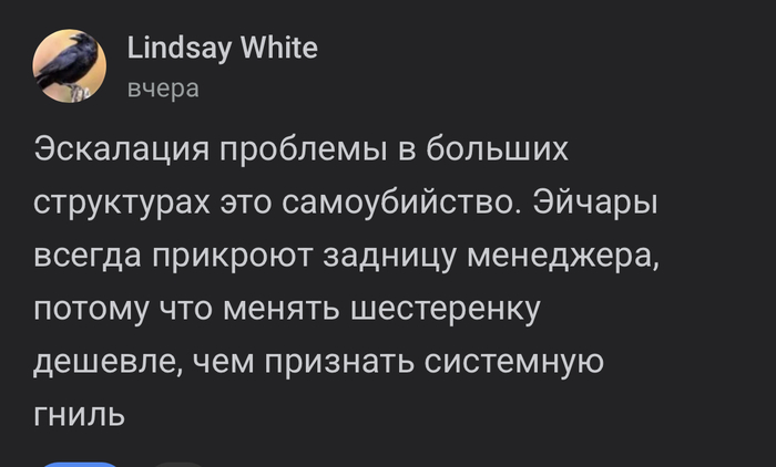 ���� ���� ����� ����������