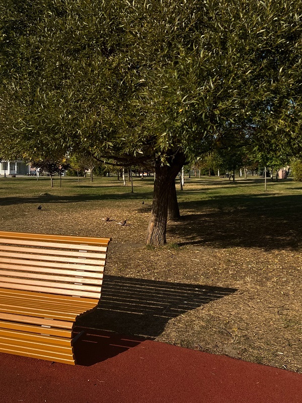 ���� 1000-����� ���������. ����: �������� ��������