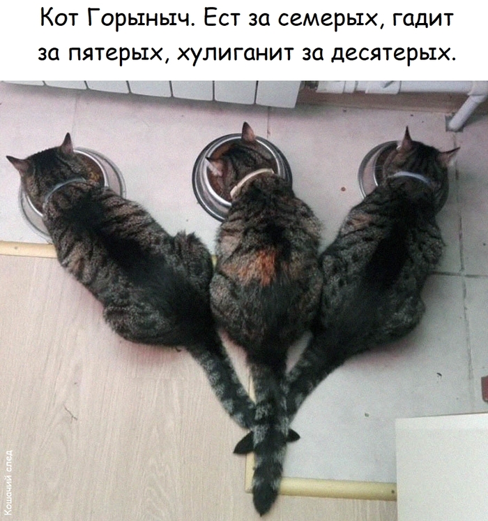 ��� �������