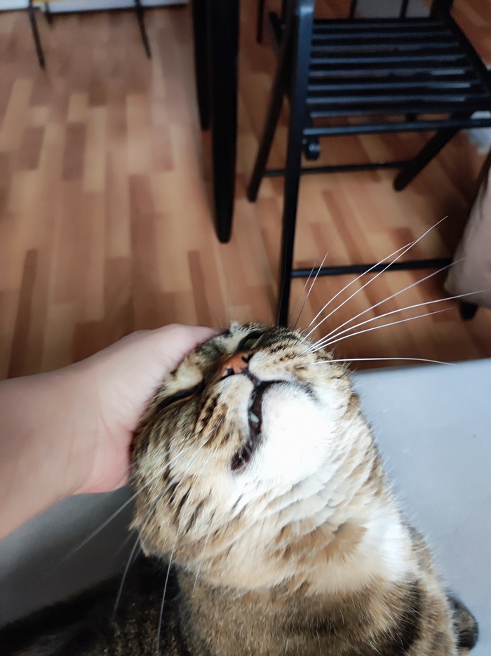 ������ ����������, ����� �������� �����!