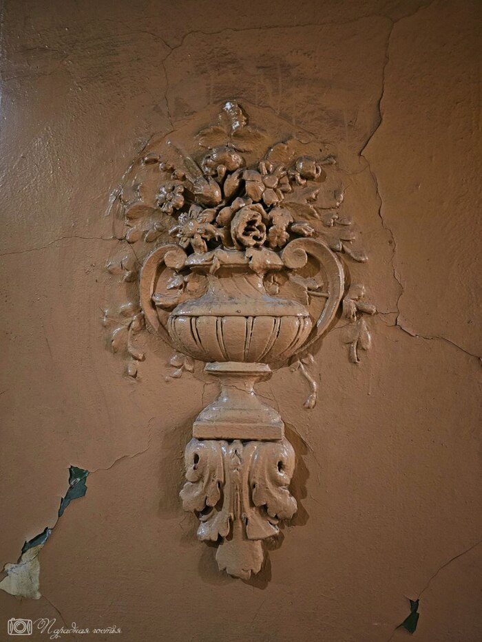 ����� ���� ��������. ����: �������� ������