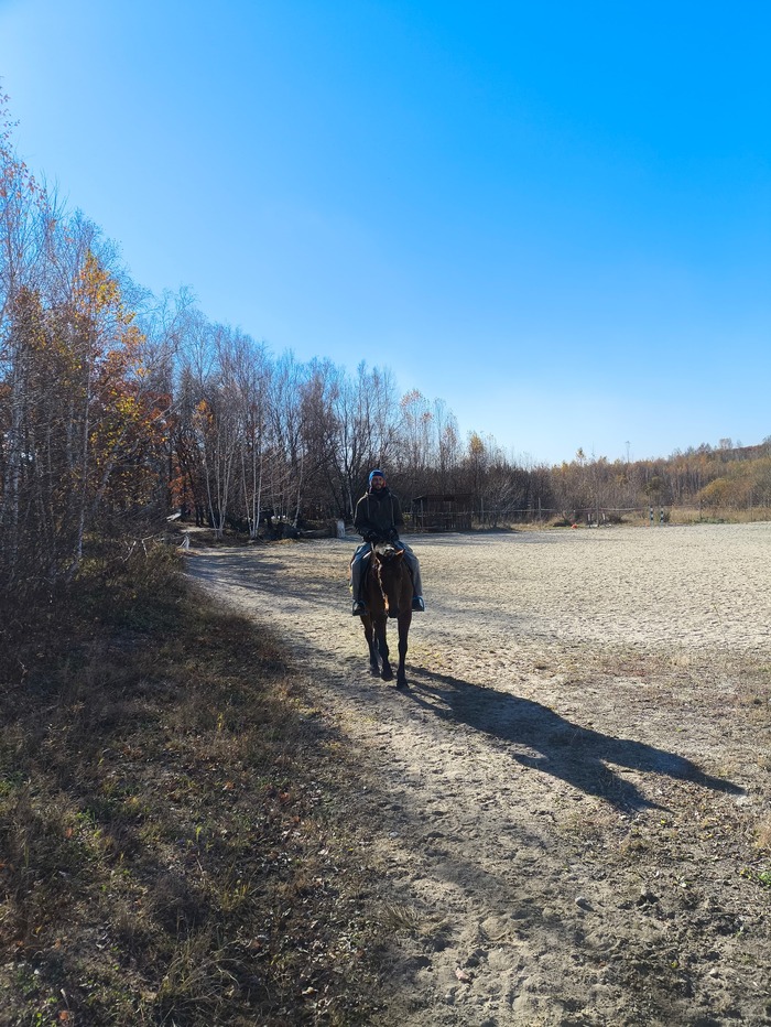 О это я, даже стараюсь не показывать паники,а она есть😄