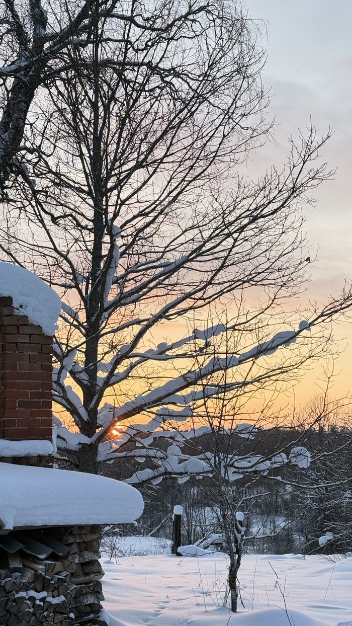 ������������ ���������