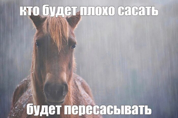 ��������????