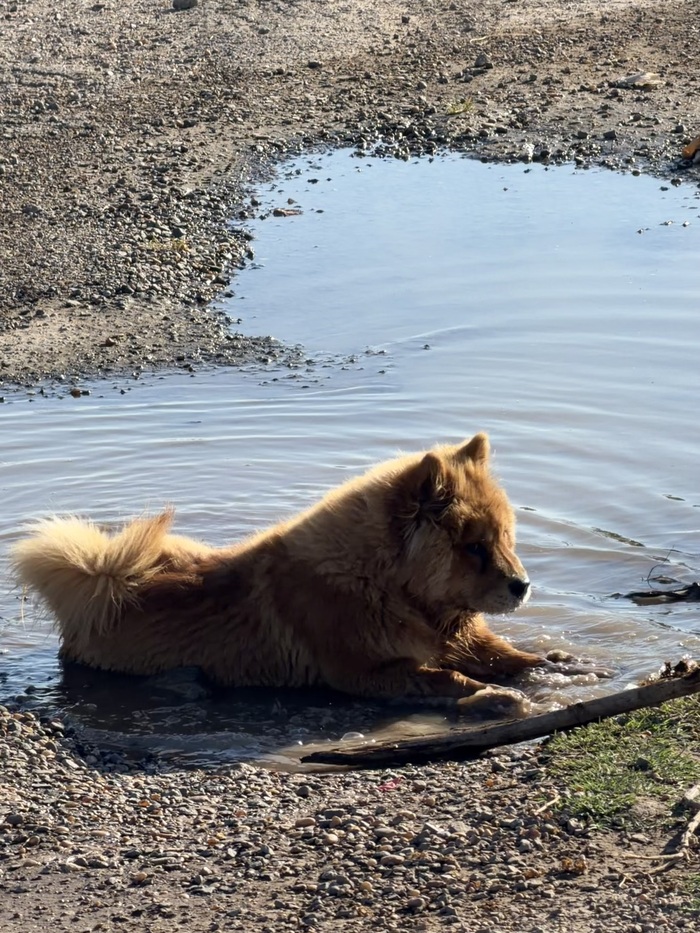 ���� ������� ��� ����� ���������� ������� � ���� 🥰