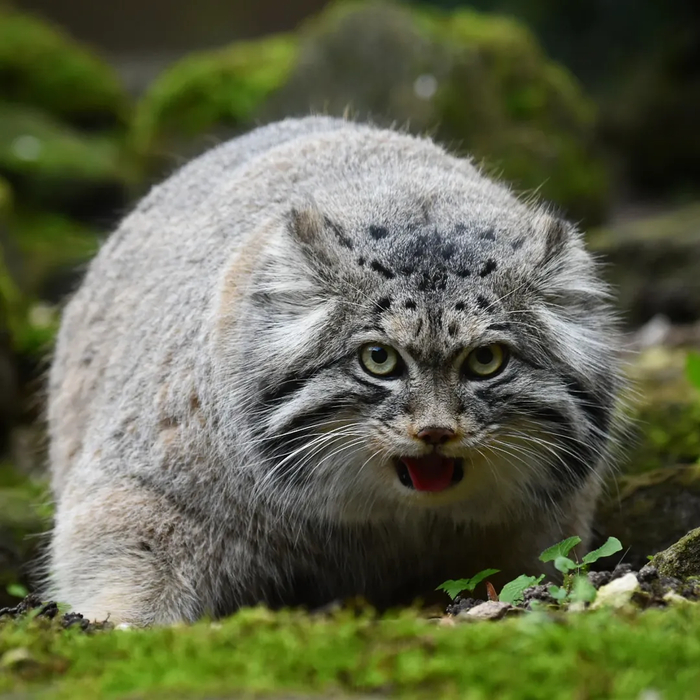 ��, ����� � �� ��