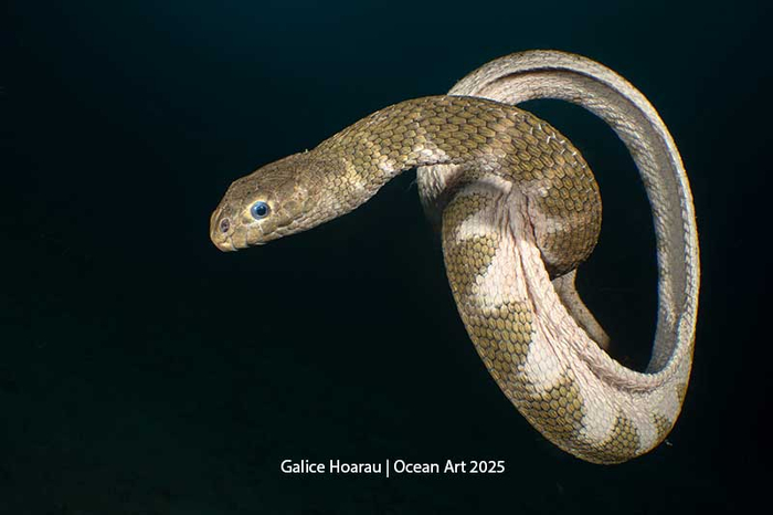 1-� ����� � ��������� �������