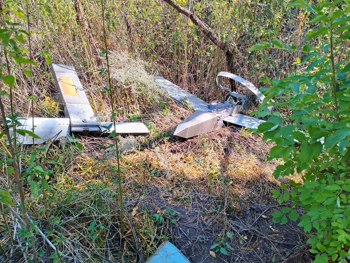 ���� - ������ ������������ � ��������� (�������� �� �����)