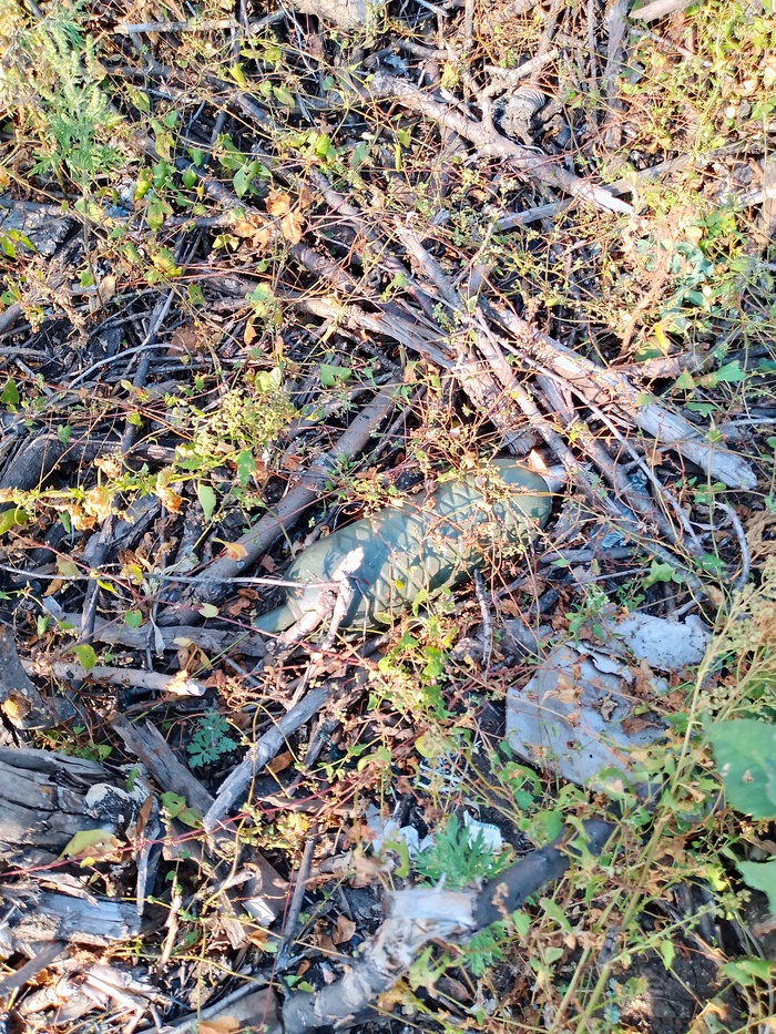 ��������� � �������� ��� ������������ �������� - ������ ��������� ��� ������� � ����-���