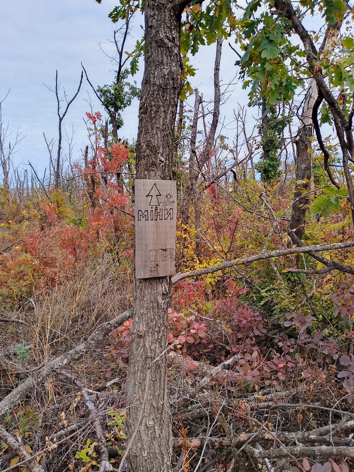 ��� �� �������